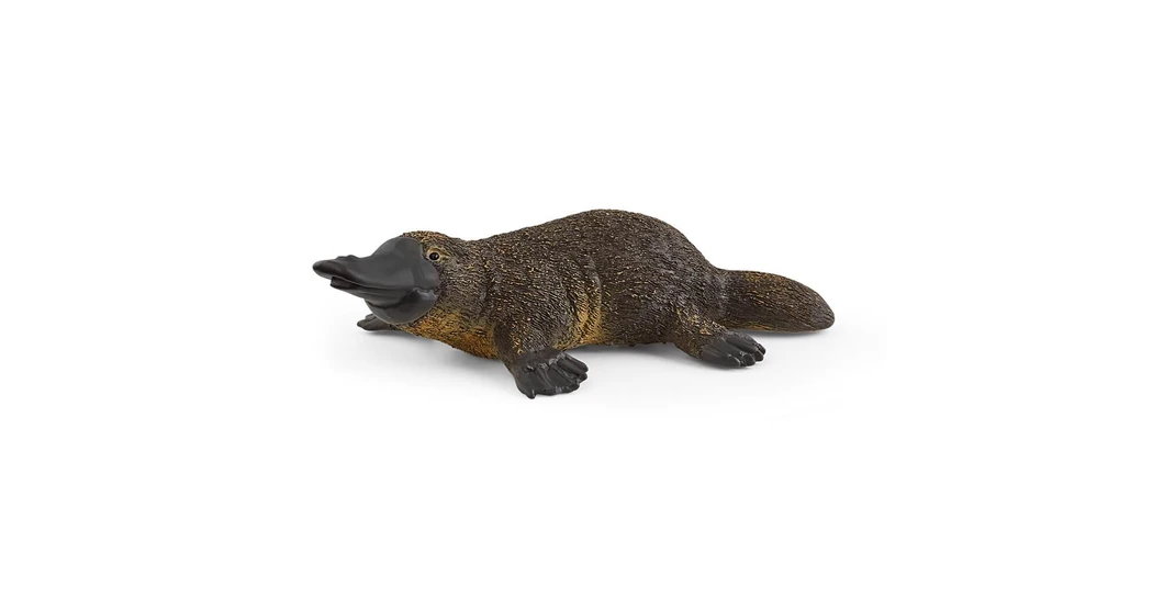 SCHLEICH Wild Life Figuren: Schnabeltier & Plumplori – Detailgetreue Spieltiere Für Kinder Ab 3