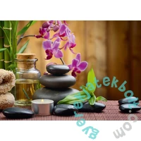Alipson 500 db-os puzzle - Zen (50001)