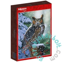 Alipson 500 db-os puzzle - Silent Watch (50010)
