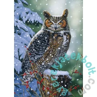 Alipson 500 db-os puzzle - Silent Watch (50010)