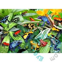 Alipson 500 db-os puzzle - Fun Frogs (50168)