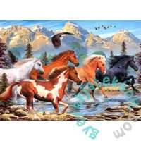 Alipson 500 db-os puzzle - Wild and Free (50171)
