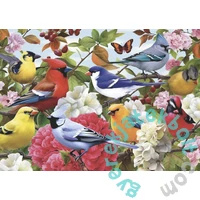 Bboldin 1000 db-os puzzle - Bird garden (Z-126)