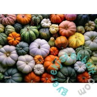 Bboldin 1000 db-os puzzle - Pumpkin (Z-164)