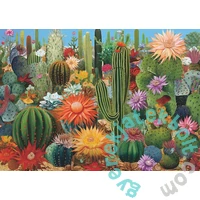 Bboldin 1000 db-os puzzle - Cactus Flower Garden (Z-236)