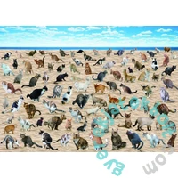 Bboldin 1000 db-os puzzle - Beach Pooping Cats (Z-309)