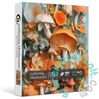 Bboldin 1000 db-os puzzle - Gathering Mushrooms (Z-377)