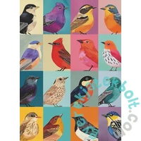 Bboldin 1000 db-os puzzle - Avian Friends (Z-568)