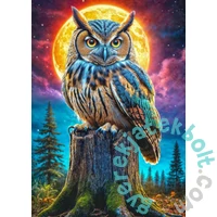 Black Sea 500 db-os puzzle - The Night Guardian of the Forest (BS82407)