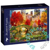 Bluebird 2000 db-os puzzle - Central Park NYC (90869)