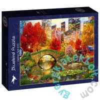 Bluebird 1000 db-os puzzle - Central Park, NYC (90870)