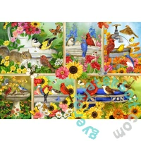 Bluebird 1000 db-os puzzle - Feathers and Company (91040)