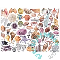 Galison 1000 db-os puzzle különleges formákkal - The Beachcomber’s Companion (57051)