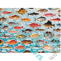 Galison 1000 db-os puzzle - Judgy Fish 1000 Piece Puzzle (77202)