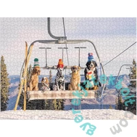 Galison 1000 db-os puzzle könyv alakú dobozban - Aspen