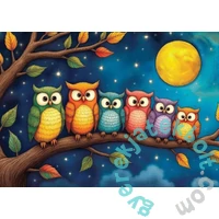 Delfy 1000 db-os puzzle - Night owls club (DE-25016)