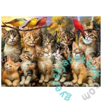 Educa 500 db-os puzzle - Cicák és madarak (20241)