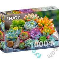 Enjoy 1000 db-os puzzle - Succulents (2277)