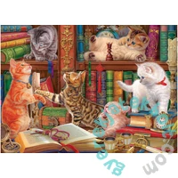 EuroGraphics 1000 db-os puzzle - Library Kittens (6000-5913)