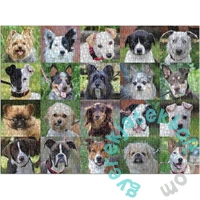 Galison 1000 db-os puzzle - Rescue Dogs (69535)