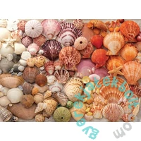 Galison 1000 db-os puzzle - Vibrant Seashells (80608)