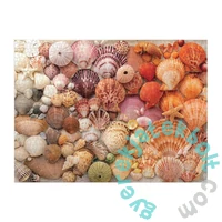 Galison 1000 db-os puzzle - Vibrant Seashells (80608)