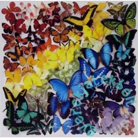 Galison 500 db-os puzzle - Rainbow Butterflies (62567)