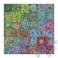Galison 500 db-os puzzle - Succulent Spectrum (63427)