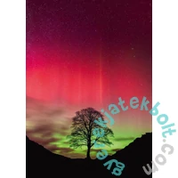 Heye 1000 db-os puzzle - Power of Nature - Sycamore Gap (30065)