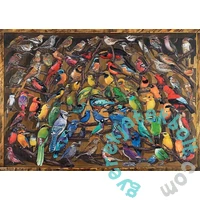 Ravensburger 1000 db-os puzzle - Színes madárvilág (12000281)