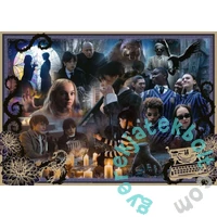 Ravensburger 1000 db-os puzzle - Wednesday (12001228)