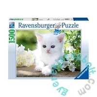 Ravensburger 1500 db-os puzzle - Fehér cica (12000706)