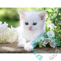 Ravensburger 1500 db-os puzzle - Fehér cica (12000706)