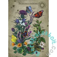 Ravensburger 1000 db-os puzzle - A lepkék életciklusa (12001435)