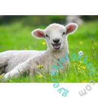 Ravensburger 2 x 12 db-os puzzle - Állatok a farmon (05718)