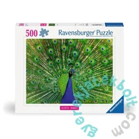 Ravensburger 500 db-os puzzle - Páva (12001332)