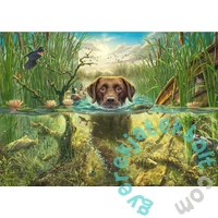 Schmidt 1000 db-os puzzle - Dog's Life - Brown Labrador in the Cool Water (58572)
