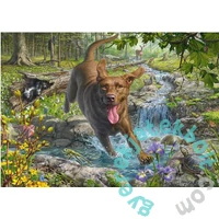 Schmidt 1000 db-os puzzle - Dog's Life - Spring Walk with Labrador Retriever (58559)