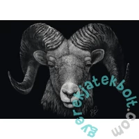 Schmidt 1000 db-os puzzle - Dominance - Aries