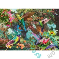 Schmidt 1000 db-os puzzle - The Playful Colors of Hummingbirds (58869)