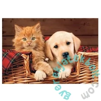 Trefl 500 db-os puzzle - Kutya és cica kosárban (37219)