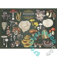 Trefl 500 db-os Premium Plus puzzle - Finders Keepers - Gombák (37608)
