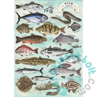 Trefl 500 db-os puzzle - Finders Keepers - Halak (37609)