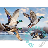 Trefl 1000 db-os Premium Plus puzzle - Vadkacsák  (99278)