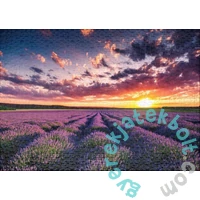 Ulmer 1000 db-os puzzle - Lavender Blossoms (0053)