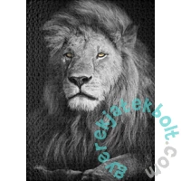 Ulmer 1000 db-os puzzle - King Romeo (0114)