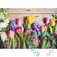 Ulmer 1000 db-os puzzle - Messengers of Spring (0220)