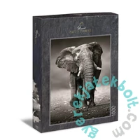 Ulmer 1000 db-os puzzle - The Wanderer (0275)