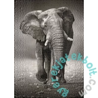 Ulmer 1000 db-os puzzle - The Wanderer (0275)