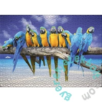 Ulmer 1000 db-os puzzle - Trip to the Sea (0367)